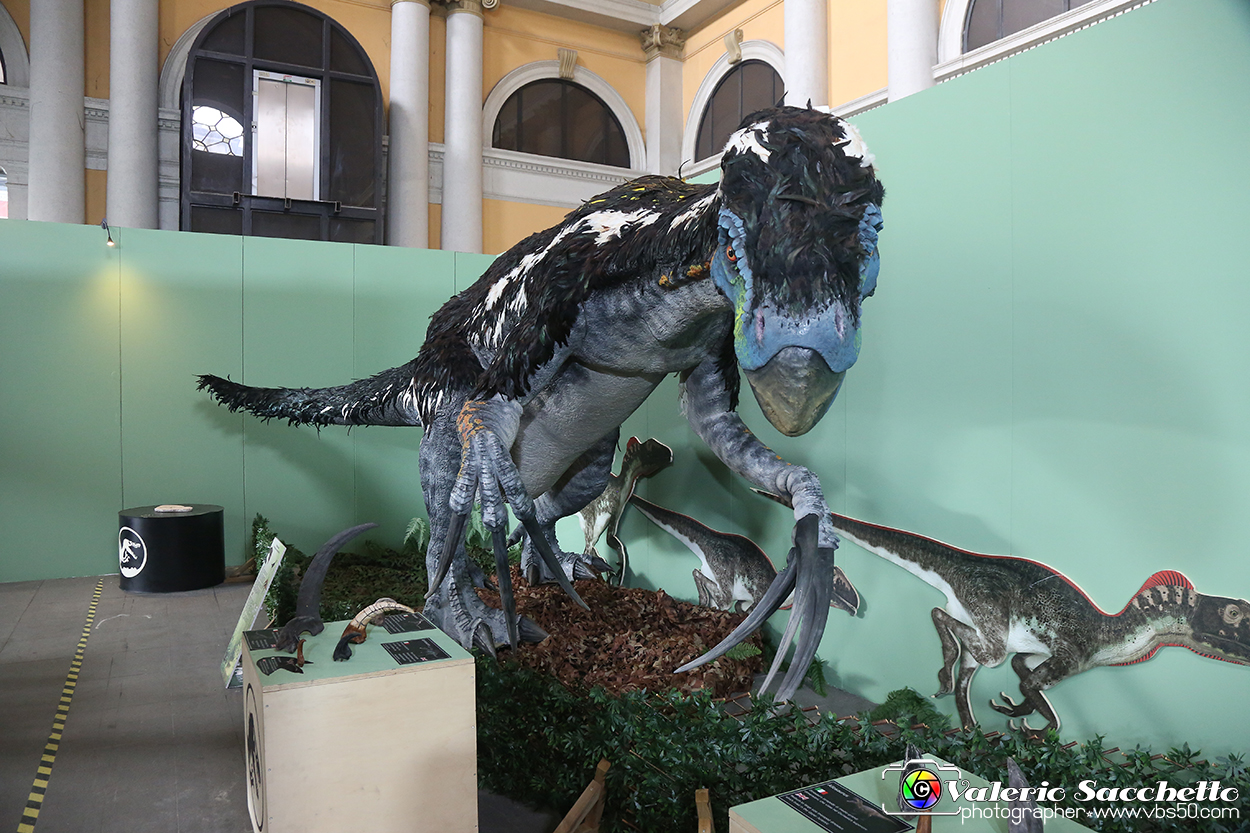 VBS_0918 - Dinosauri. Terra dei giganti.jpg